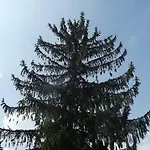 Hotel Zum Weissen Lamm 3*