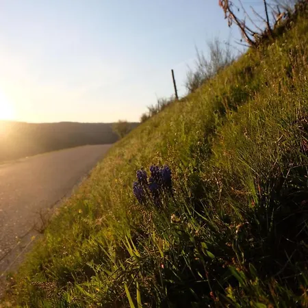 Hotel Zum Weissen Lamm Rothenberg
