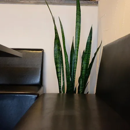 Zum Weissen Lamm Hotel 3*