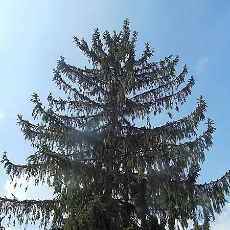 Zum Weissen Lamm