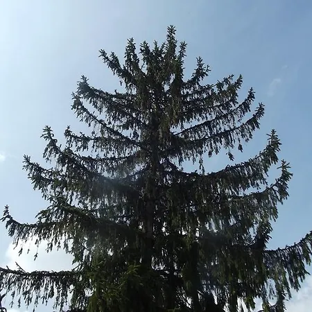 Hotel Zum Weissen Lamm 3*