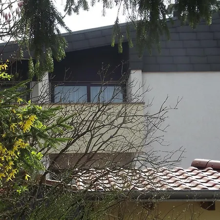 Hotel Zum Weissen Lamm 3*