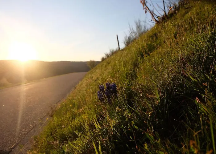 Hotel Zum Weissen Lamm Rothenberg
