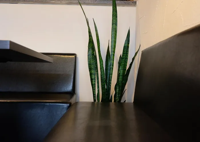 Zum Weissen Lamm Hotel 3*