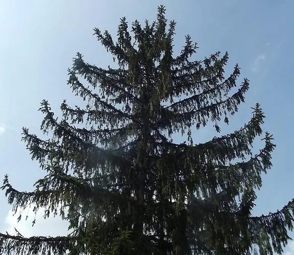 Hotel Zum Weissen Lamm 3*